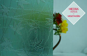 Hiedra Verde